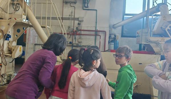 Immagini del il progetto “Orto in cassetta”
