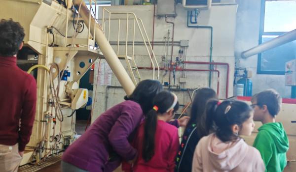 Immagini del il progetto “Orto in cassetta”