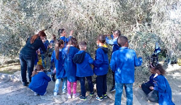 Immagini del il progetto “Orto in cassetta”