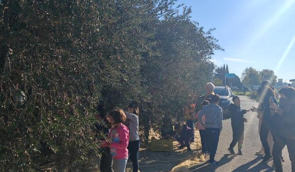 Immagini del il progetto “Orto in cassetta”
