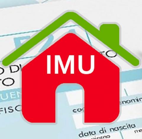 Logo IMU